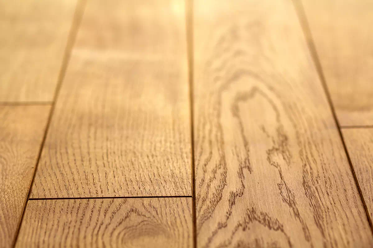 illustration-parquet (1) illustration-parquet (1)